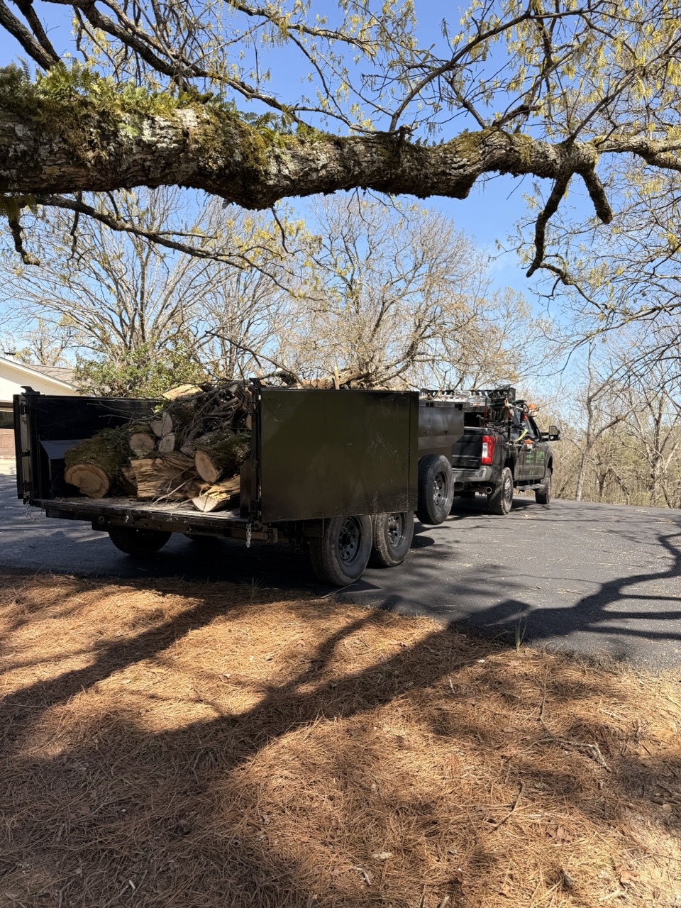 Fallen Tree And Limb Pickup In Oxford, MS